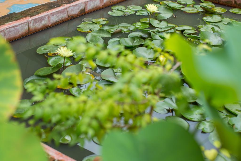 Baan Are Gong Riverside Homestay فرا ناخون سي أيوتثايا المظهر الخارجي الصورة